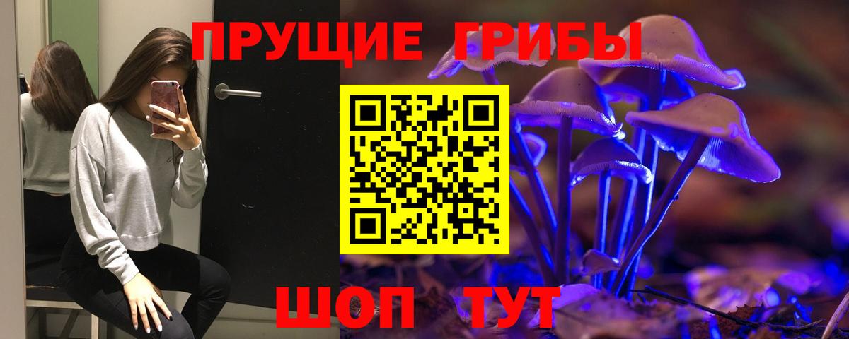 Алексин  Псилоцибиновые грибы MAGIC MUSHROOMS  Галлюциногенные грибы Psilocybine cubensis  Вход с VPN 