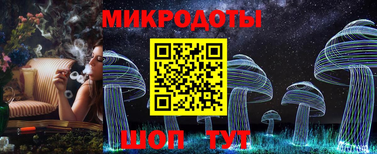 Галлюциногенные грибы Psilocybine cubensis Алексин